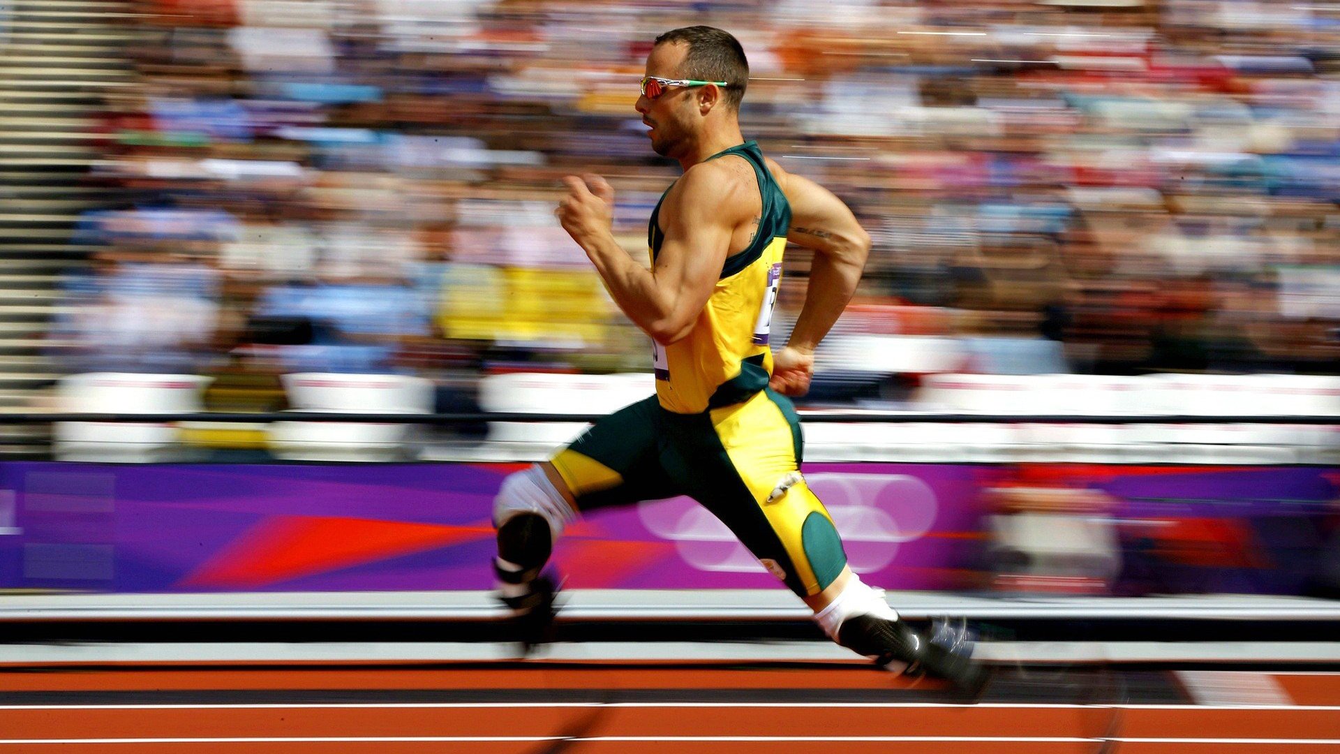 体育新闻中心发布全国体育法律培训基地申报须知，体育培训监管